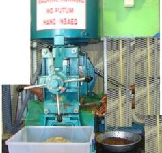 Coconut Oil Extraction Machine