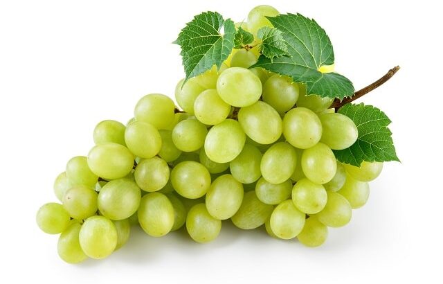 Fresh Grapes