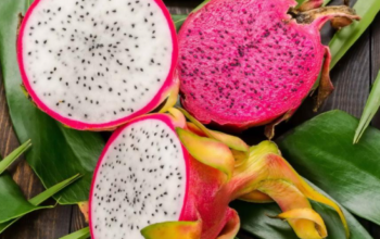 Dragon Fruit