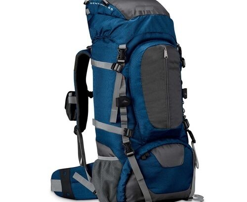 Blue & Grey Trekking Bags