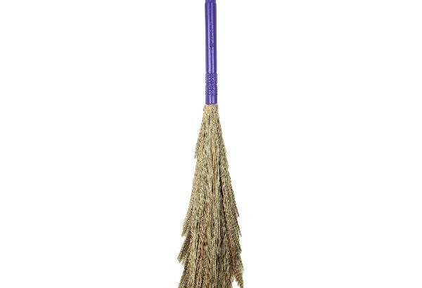 Soft Broom