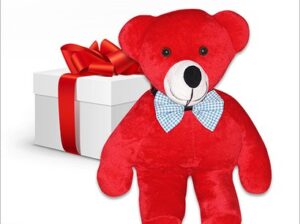 Soft Toy – Teddy Bear